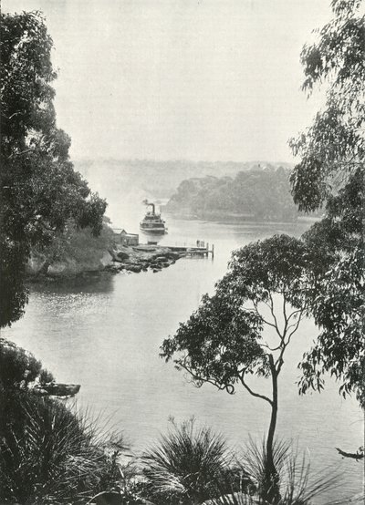 Mosmans Bay, vanaf Cremorne Jetty door Unbekannt