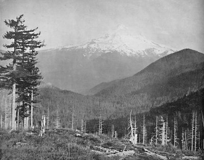 Mount Hood, Oregon, ca. 1897 door Unbekannt