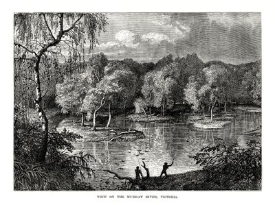 Murray River, Victoria, Australië door Unbekannt