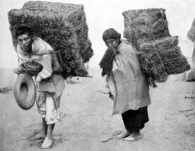 Inboorlingen van Mexico door Unbekannt