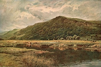Natuurs Spiegel, 1882, ca. 1902 door Unbekannt