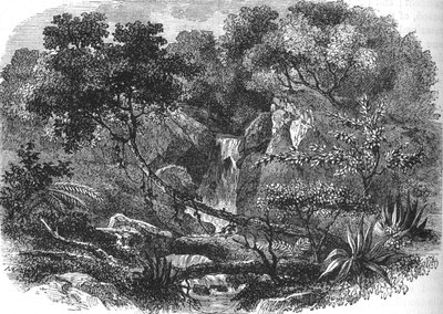 Nieuw-Zeelands landschap, ca. 1880 door Unbekannt