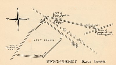 Newmarket Race Course door Unbekannt