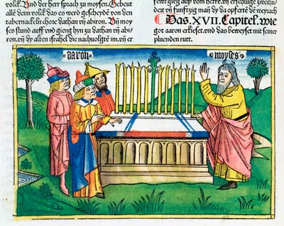 Numeri 17:1-11: De staf van Aäron bloeit op het altaar door Unbekannt