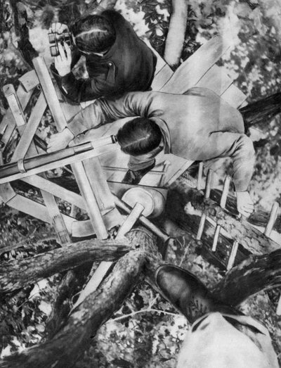 Observatiepost in een boom, Woevre, Frankrijk, Eerste Wereldoorlog, ca. 1914 door Unbekannt