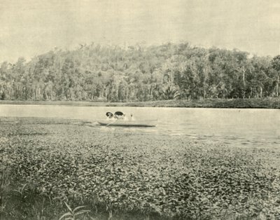Op het Enoggera Meer, 1901 door Unbekannt