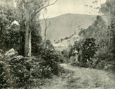 Op de Illawarra Road, N.S.W. door Unbekannt