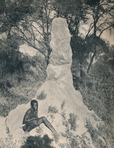 Een van de gigantische mierenhopen die kenmerkend zijn voor sommige districten van Zuid-Afrika, c1900 door Unbekannt