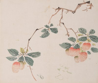 Pagina uit Shi Zhu Zhai door Unbekannt