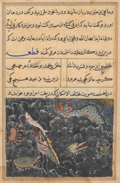Pagina uit Verhalen van een Papegaai Tuti-nama: Elfde nacht: De wezens van de zee, ca. 1560 door Unbekannt