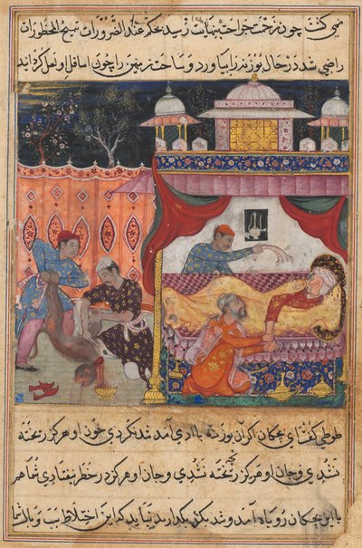 Pagina uit Verhalen van een Papegaai Tuti-nama: Vijfde nacht: De aap gedood, zijn bloed..., ca. 1560 door Unbekannt