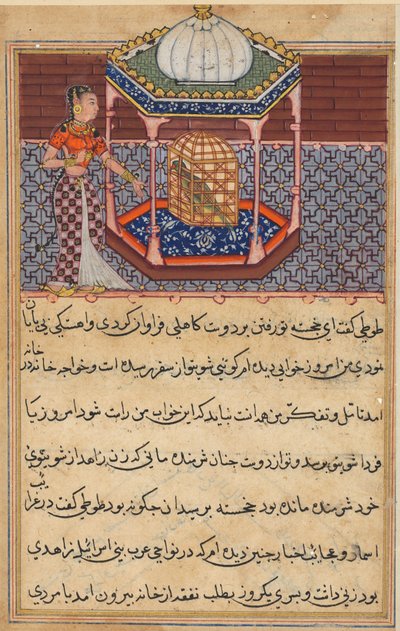 Pagina uit Verhalen van een papegaai Tuti-nama: Tweeënvijftigste nacht: De papegaai spreekt Khujasta aan..., ca. 1560 door Unbekannt