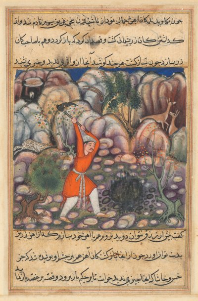 Pagina uit Verhalen van een Papegaai Tuti-nama: Zevenenveertigste nacht: De vierde man graaft..., c. 1560 door Unbekannt