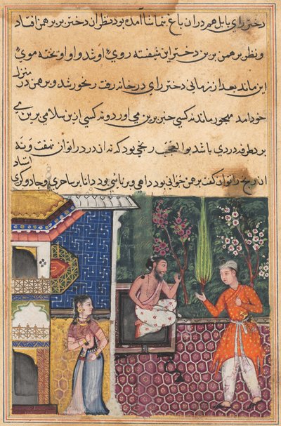 Pagina uit Verhalen van een Papegaai Tuti-nama: Vijfendertigste nacht: De Brahmaan geeft..., ca. 1560 door Unbekannt