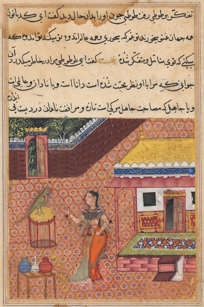Pagina uit Verhalen van een Papegaai Tuti-nama: Vierendertigste nacht: De papegaai spreekt Khujasta aan..., ca. 1 door Unbekannt