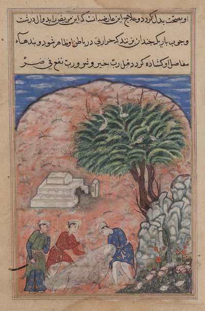 Pagina uit Verhalen van een Papegaai Tuti-nama: Twintigste nacht: De vrijers nemen..., ca. 1560 door Unbekannt