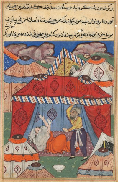 Pagina uit Verhalen van een papegaai Tuti-nama: Vierentwintigste nacht: De vermomde Arabier..., ca. 1560 door Unbekannt