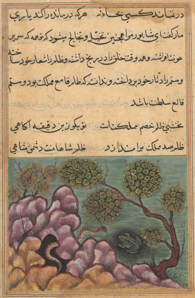 Pagina uit Verhalen van een Papegaai Tuti-nama: Zesentwintigste nacht: De afgezette kikker..., ca. 1560 door Unbekannt