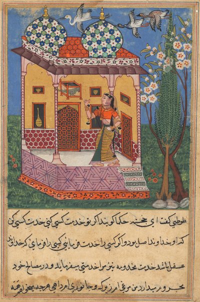 Pagina uit Verhalen van een Papegaai Tuti-nama: Zesentwintigste nacht: De papegaai spreekt Khujasta aan..., ca. 1560 door Unbekannt