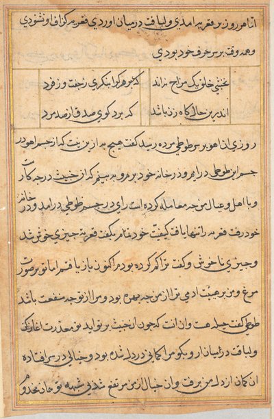 Pagina uit Verhalen van een Papegaai Tuti-nama: tekstpagina, ca. 1560 door Unbekannt