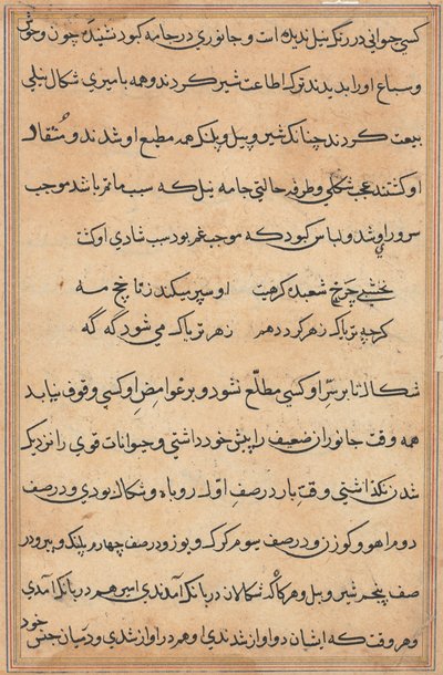 Pagina uit Verhalen van een papegaai Tuti-nama: tekstpagina, ca. 1560 door Unbekannt