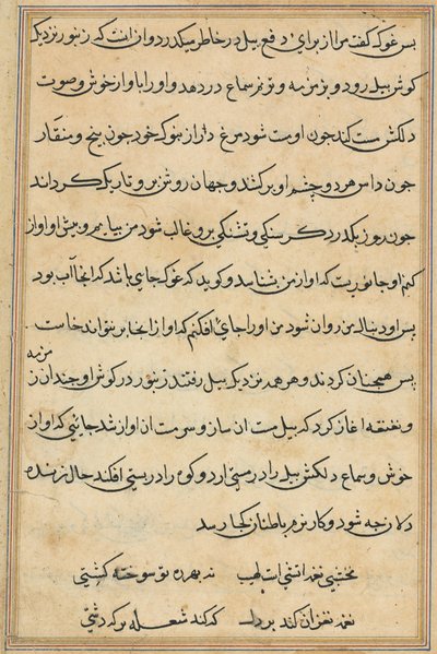 Pagina uit Verhalen van een papegaai Tuti-nama: tekstpagina, ca. 1560 door Unbekannt
