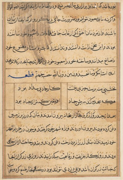Pagina uit Verhalen van een papegaai Tuti-nama: tekstpagina, ca. 1560 door Unbekannt