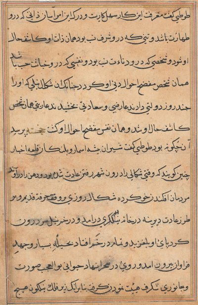 Pagina uit Verhalen van een Papegaai Tuti-nama: tekstpagina, ca. 1560 door Unbekannt
