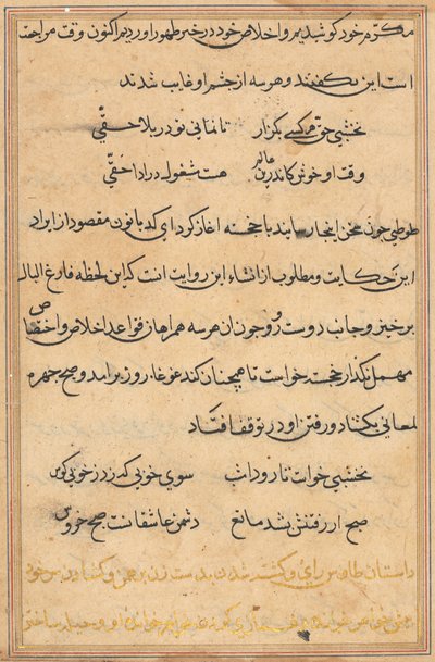 Pagina uit Verhalen van een papegaai Tuti-nama: tekstpagina, ca. 1560 door Unbekannt