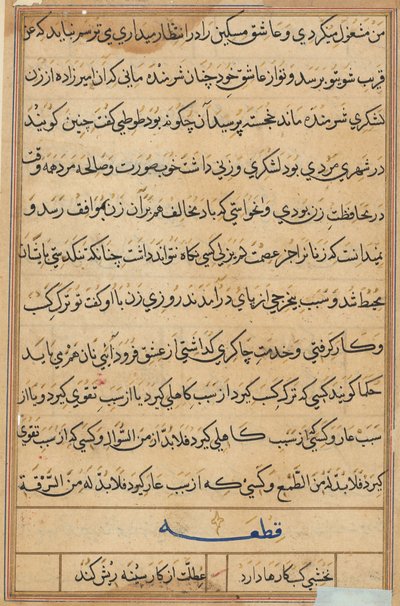 Pagina uit Verhalen van een papegaai Tuti-nama: tekstpagina, ca. 1560 door Unbekannt