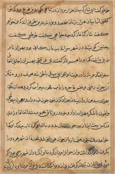 Pagina uit Verhalen van een Papegaai Tuti-nama: tekstpagina, ca. 1560 door Unbekannt