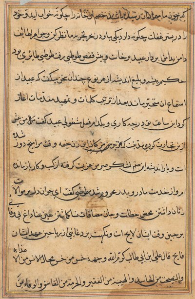Pagina uit Verhalen van een Papegaai Tuti-nama: tekstpagina, c. 1560 door Unbekannt