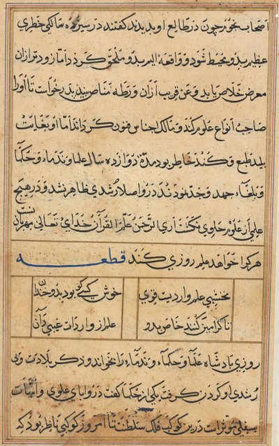 Pagina uit Verhalen van een Papegaai Tuti-nama: tekstpagina, c. 1560 door Unbekannt