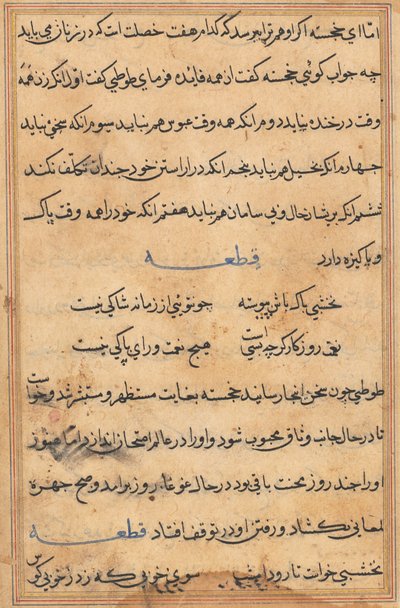 Pagina uit Verhalen van een Papegaai Tuti-nama: tekstpagina, c. 1560 door Unbekannt