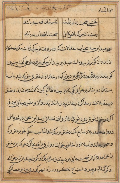 Pagina uit Verhalen van een papegaai Tuti-nama: tekstpagina, ca. 1560 door Unbekannt