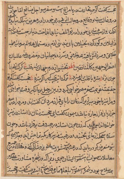 Pagina uit Verhalen van een papegaai Tuti-nama: tekstpagina, ca. 1560 door Unbekannt