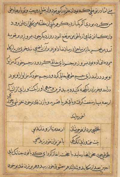 Pagina uit Verhalen van een papegaai Tuti-nama: tekstpagina, c. 1560 door Unbekannt