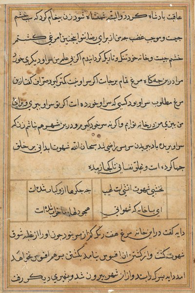 Pagina uit Verhalen van een Papegaai Tuti-nama: tekstpagina, ca. 1560 door Unbekannt