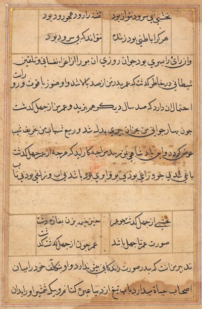 Pagina uit Verhalen van een Papegaai Tuti-nama: tekstpagina, ca. 1560 door Unbekannt