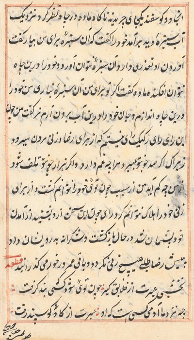 Pagina uit Verhalen van een papegaai Tuti-nama: tekstpagina, ca. 1560 door Unbekannt