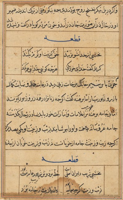 Pagina uit Verhalen van een Papegaai Tuti-nama: tekstpagina, c. 1560 door Unbekannt