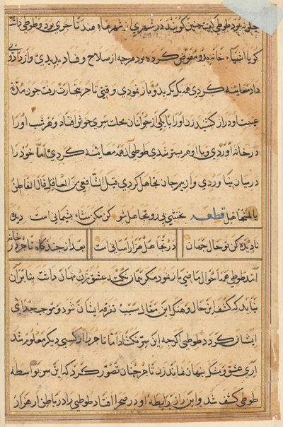 Pagina uit Verhalen van een papegaai Tuti-nama: tekstpagina, ca. 1560 door Unbekannt