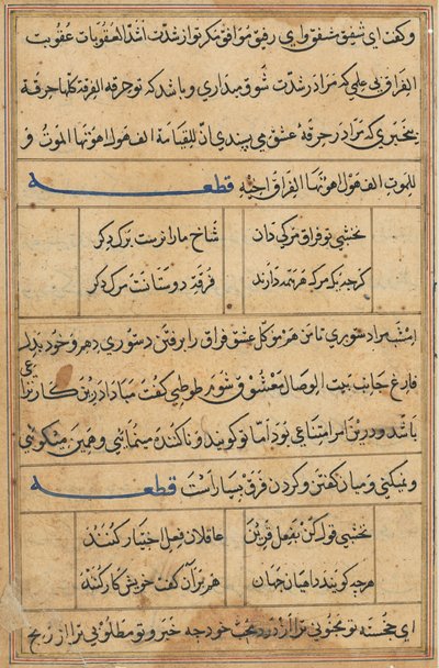 Pagina uit Verhalen van een papegaai Tuti-nama: tekstpagina, ca. 1560 door Unbekannt