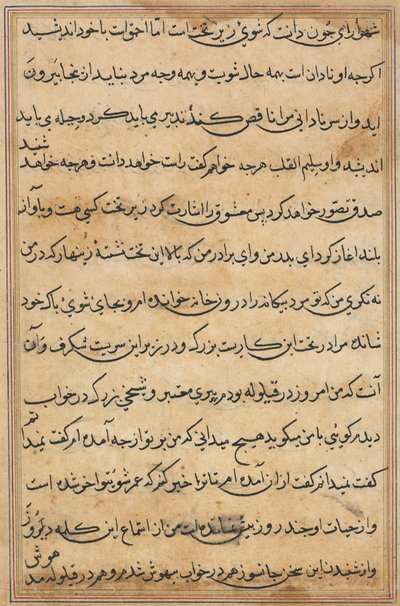 Pagina uit Verhalen van een Papegaai Tuti-nama: tekstpagina, c. 1560 door Unbekannt
