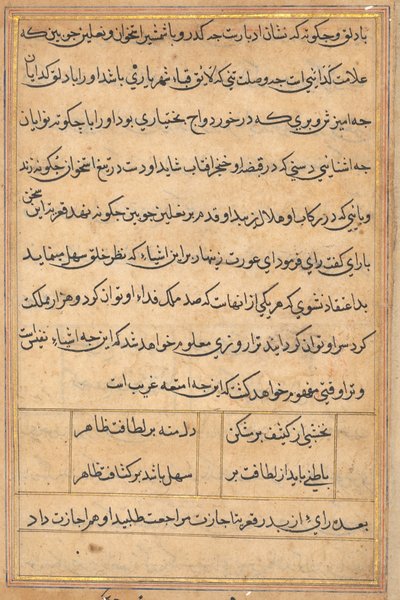 Pagina uit Verhalen van een Papegaai Tuti-nama: tekstpagina, ca. 1560 door Unbekannt