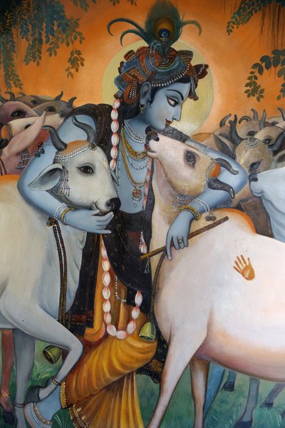 Schilderij van de hindoegod Krishna die koeien omhelst, India door Unbekannt