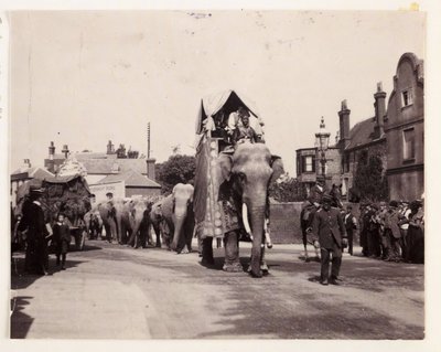 Parade van olifanten, ca. 1905 door Unbekannt