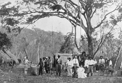 Paraguayaanse theeverzameling, Paraguay, 1911 door Unbekannt