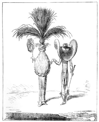 Parasols voor 1795 door Unbekannt