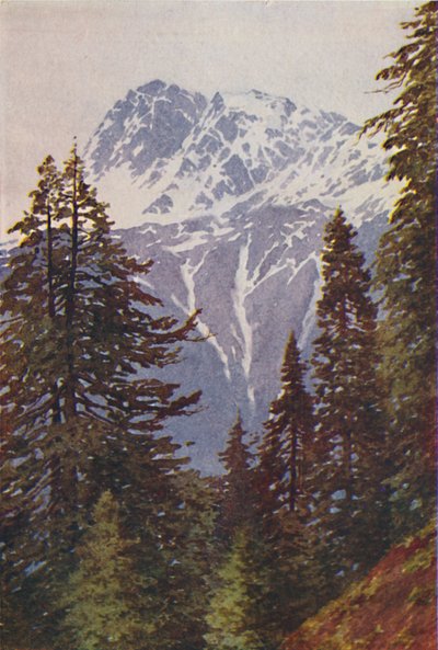 Piek in de Himalaya, 1924 door Unbekannt